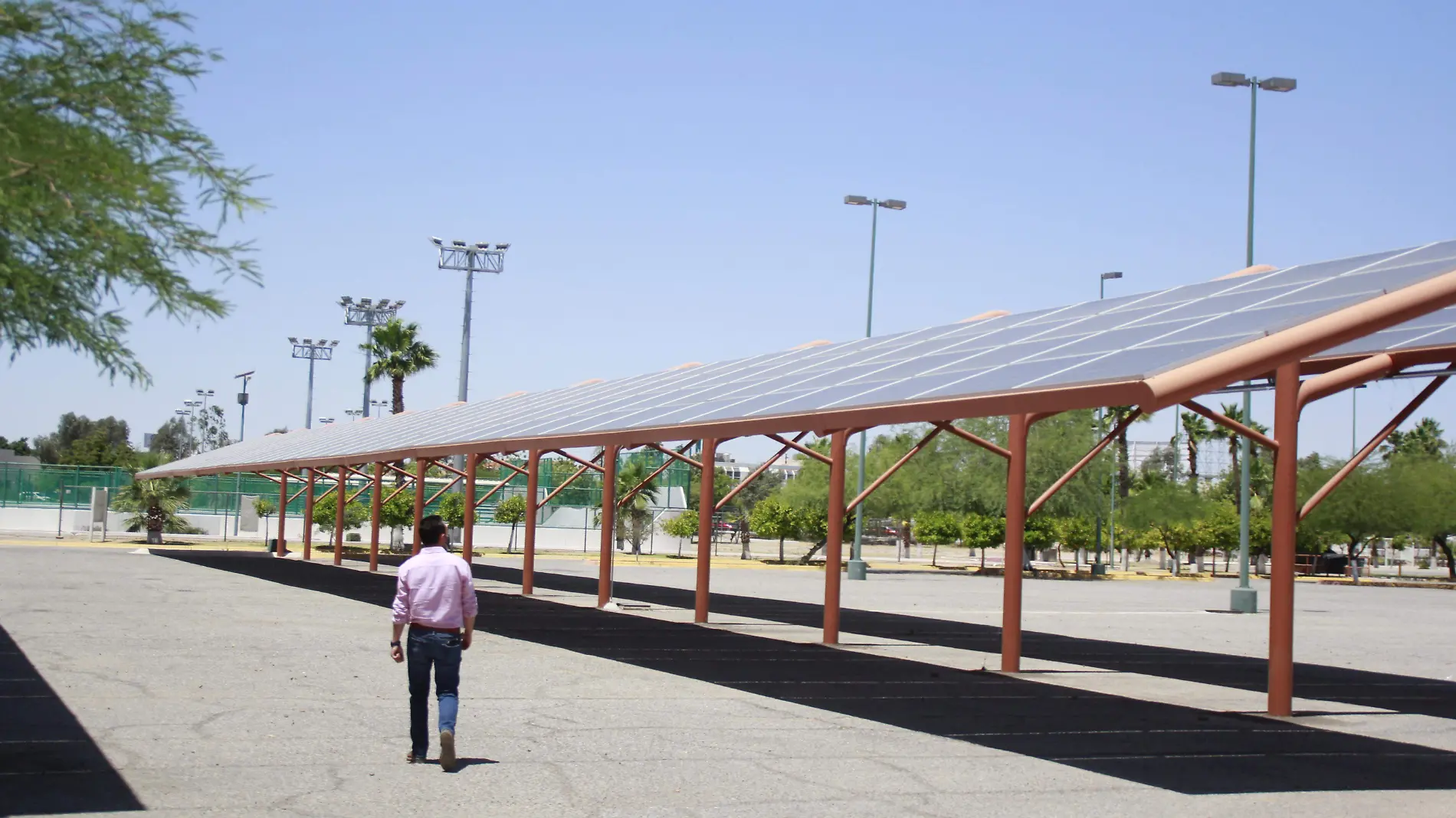 Temática Páneles solares, energía renovable - Cecilia Saijas (7)